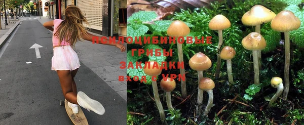 a pvp Саяногорск