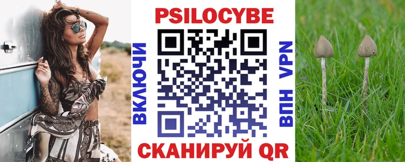 Псилоцибиновые грибы прущие грибы Иннополис
