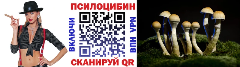 Псилоцибиновые грибы GOLDEN TEACHER  Иннополис 